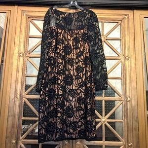 Tadashi Shoji Black Lace Illusion Dress